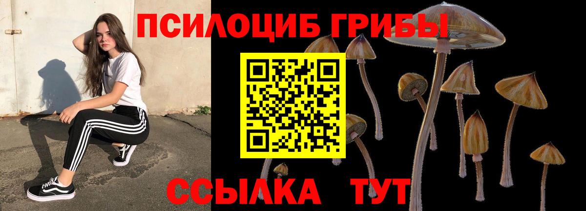 Йошкар-Ола  Псилоцибиновые грибы Psilocybe  наркошоп  Вход с VPN 